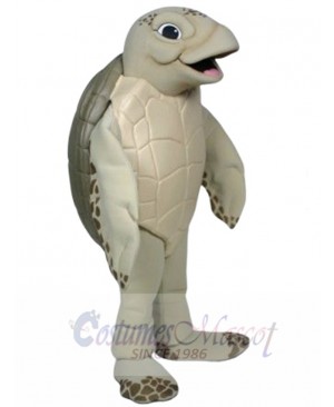 Luna The Sea Turtle mascot costume