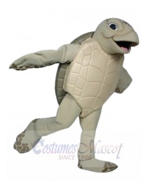 Luna The Sea Turtle mascot costume