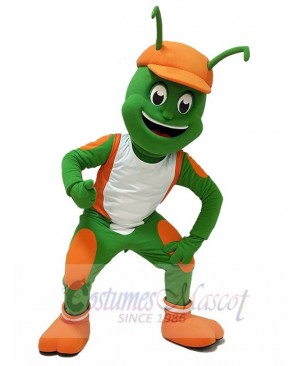 Insect mascot costume