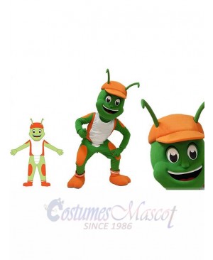 Insect mascot costume