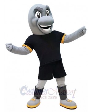 Dolphin mascot costume