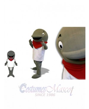 Dolphin mascot costume