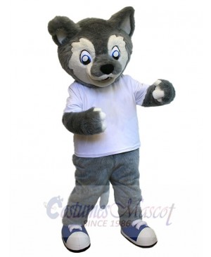 Wolf mascot costume