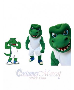 Crocodile mascot costume