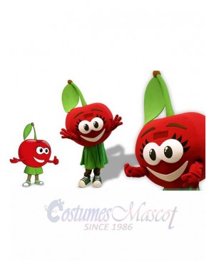 Cherry mascot costume