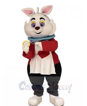 Rabbit mascot costume