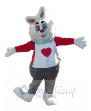 Rabbit mascot costume