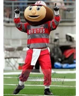 Brutus Buckeye mascot costume