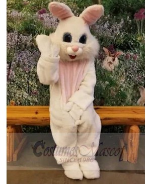 Easter Bunny Rabbit mascot costume