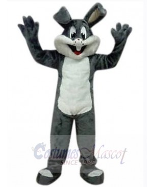 Easter Bunny Rabbit mascot costume