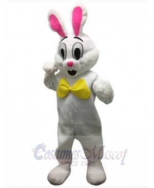 Easter Bunny Rabbit mascot costume