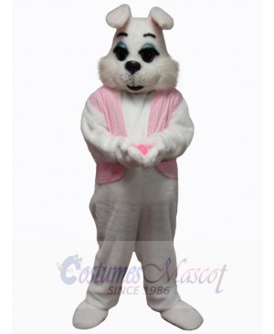 Easter Bunny Rabbit mascot costume