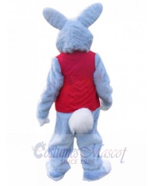 Easter Bunny Rabbit mascot costume