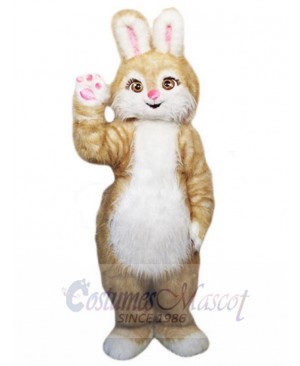 Easter Bunny Rabbit mascot costume