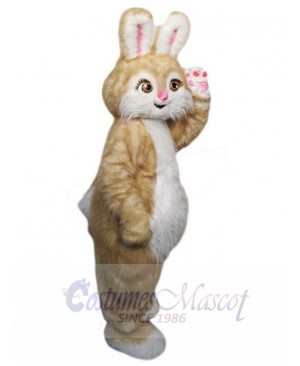 Easter Bunny Rabbit mascot costume