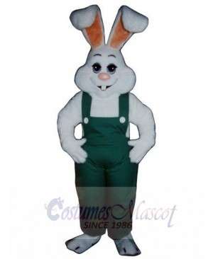 Easter Bunny Rabbit mascot costume