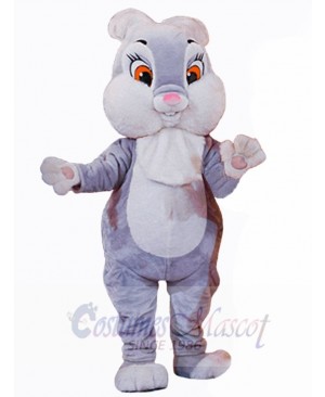 Easter Bunny Rabbit mascot costume