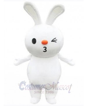 Easter Bunny Rabbit mascot costume