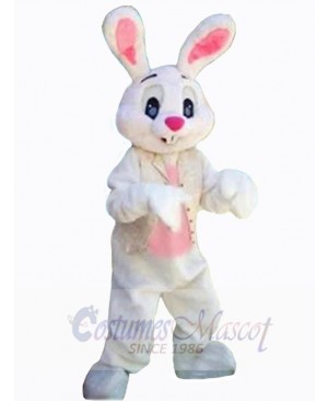 Easter Bunny Rabbit mascot costume