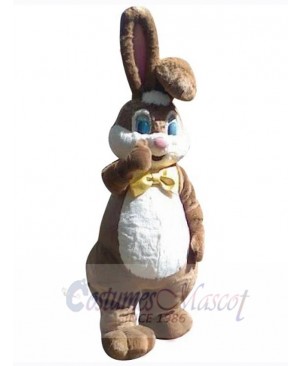 Easter Bunny Rabbit mascot costume