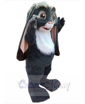 Easter Bunny Rabbit mascot costume