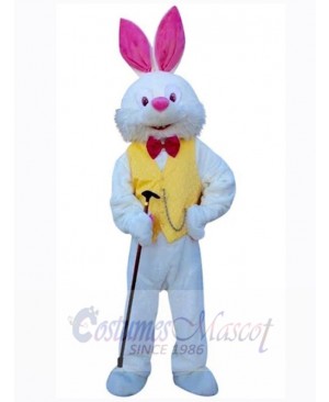 Easter Bunny Rabbit mascot costume