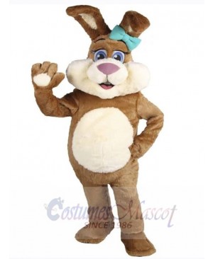 Easter Bunny Rabbit mascot costume