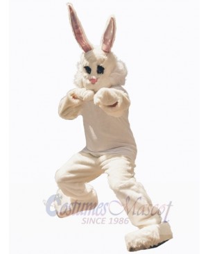 Easter Bunny Rabbit mascot costume