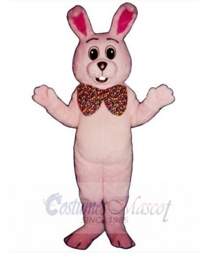 Easter Bunny Rabbit mascot costume