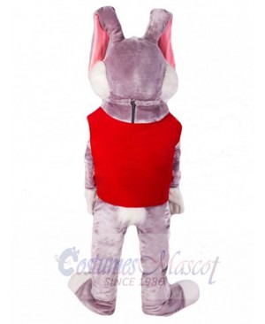 Easter Bunny Rabbit mascot costume