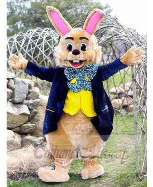Easter Bunny Rabbit mascot costume