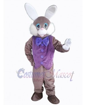 Easter Bunny Rabbit mascot costume