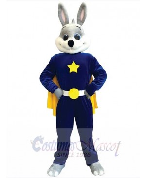 Easter Bunny Rabbit mascot costume