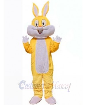 Easter Bunny Rabbit mascot costume