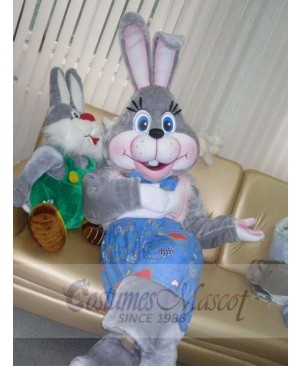 Easter Bunny Rabbit mascot costume