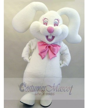 Easter Bunny Rabbit mascot costume
