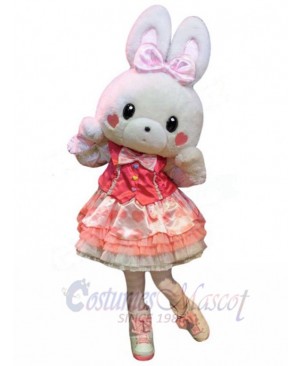 Easter Bunny Rabbit mascot costume