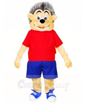 Hedgehog Mascot Costumes Animal