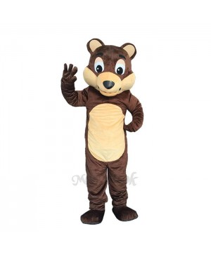 New Chocolate Bear White Belly Mascot Costume
