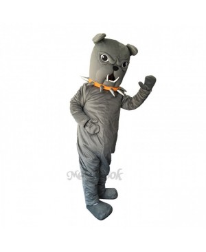 Cute Funny Bulldog with Collar Mascot Costume
