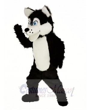 Long Wool Big Black Wolf Mascot Costume Animal