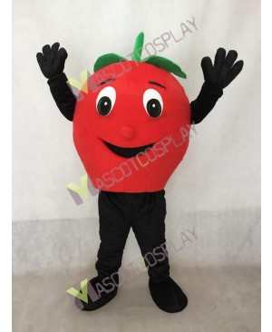 Big Red Apple Mascot Costume