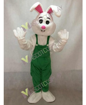 Easter Bunny Rabbit Boy Mascot Costume in Green Overalls