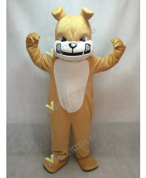 New Tan Bulldog Dog White Belly Mascot Costume