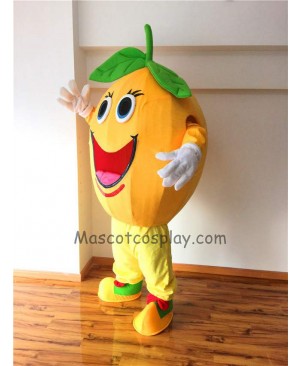 Cute Round Orange Plush Mascot Costume