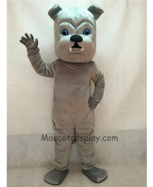 High Quality Vivid Grey Bulldog Dog Mascot Costume