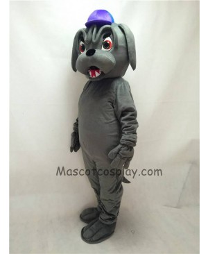 Cute Grey Bulldog with Collar & Purple Hat Mascot Costume