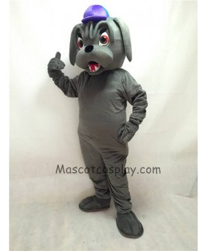 Cute Grey Bulldog with Collar & Purple Hat Mascot Costume