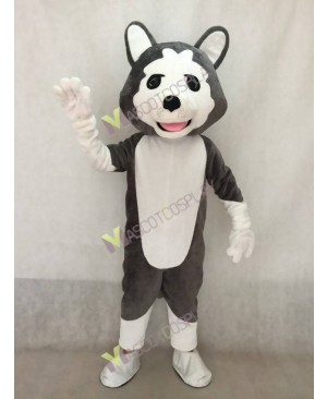 Realistic Adult Dark Gray Wolf Dog Mascot Costume