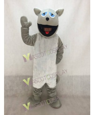 High Quality Realistic Grey Cat with White Belly Mascot Costume